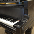 1899 One of a kind Steinway Concert Grand piano - Grand Pianos